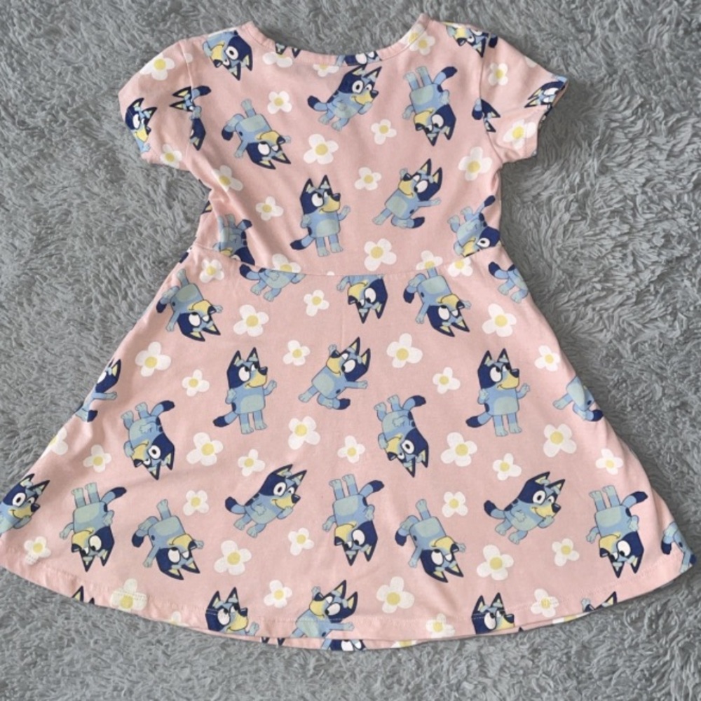 Bluey Pink and Blue Floral Casual Dress